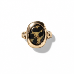 Anello Maculato